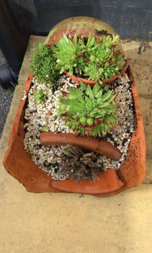 Broken Terracotta Pot used on it's side as a fairy/miniture garden
